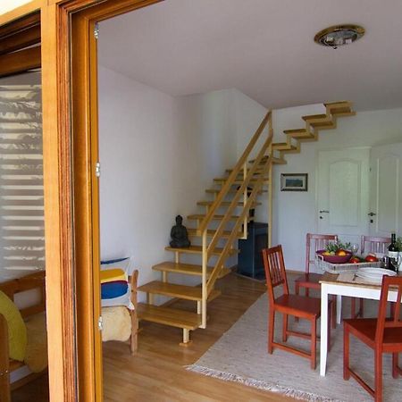 Apartament Smokvica - Feigenbaum Kornić Zewnętrze zdjęcie